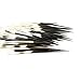 African Porcupine Quills 3-5" | 10 pieces (Natural Bone) - Jewelry - Crafting - Art