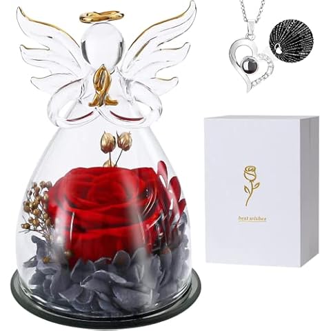 KEEPAQ Ewige Rose, Infinity Rosen Cover