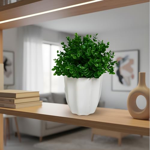 Image of fancymart Artificial Plant Hackleberry Green Bunch in Pot - 22 cm Height, Perfect for Tabletop Decoration | Ideal for Home & Office Decor