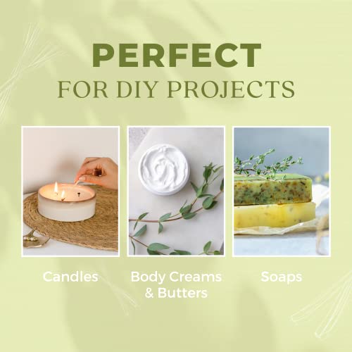 Lemongrass Essential Oil, Therapeutic Grade, Pure, Undiluted, Premium Quality Oil, Natural Lemon Grass Drops For Skincare, Scalp & Hair Care, Aromatherapy, Diffuser, Soaps & Candles #TOP2