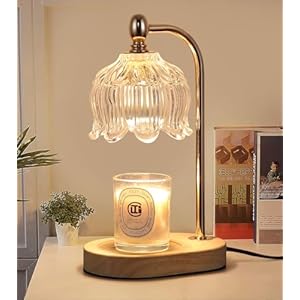 Candle Warmer Lamp with Timer and Dimmer,Electric Gold Candle Warmer Light Gifts for Women Melt Wax Warmer Lamp with 2 Bulbs for Candle Jars House Warming New Home Decor Bedroom
