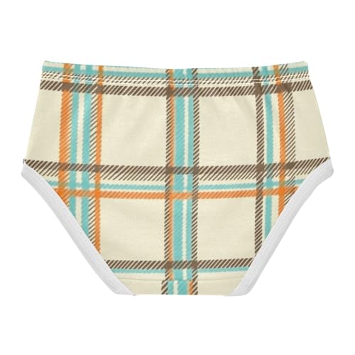 Girls' Cotton Briefs Organic Cotton Toddler Underwear for Kids Colorful Striped2