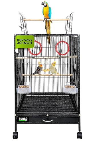 Buraq 30 Inch Large Bird Cage, Includes Locking Casters & Bird Cage Accessories, for Small & Medium Types of Birds (Large - Black)