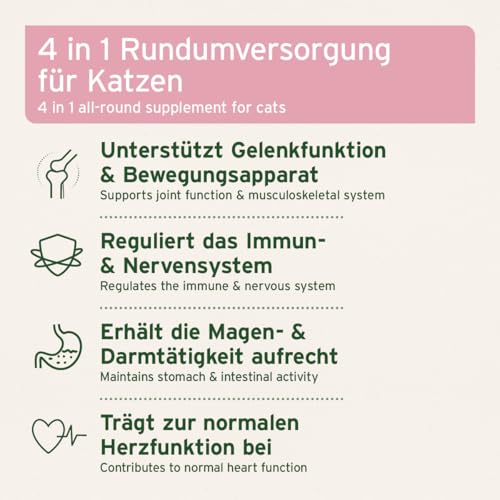 Taurin für Katzen Aniforte 4in1 Complete Cat 60g – Nährstoffversorgung