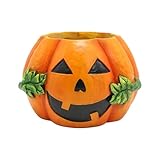 Generisch Halloween Dekor,Halloween Kürbis Pflanzgefäß, Blumentopf, Behälter, Tisch-Pflanztopf aus Kunstharz, Blumentopf für Küche, Terrasse, Haus, Garten, Balkon (Orange)