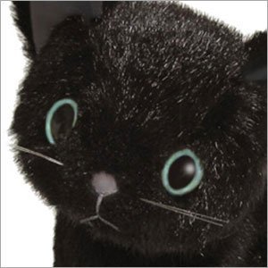 Amazon.co.jp: ＜Cuddly＞カドリー 仔ネコのヌイグルミ ドロップス