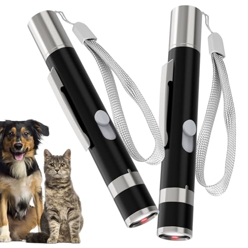 2 Pack Cat Toys, Cat Toy Red Pointer for Indoor, Rechargeable, 5 ...