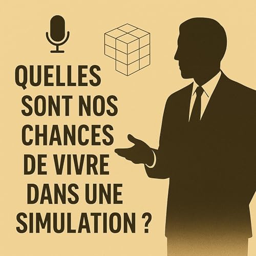 Couverture de Quelles sont nos chances de vivre dans une simulation ?