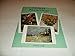 Monet Paintings: 24 Art Cards