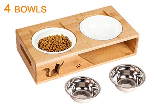 raised dog bowls for small dogs