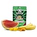 Pangea Gecko Diet with Watermelon 2 oz