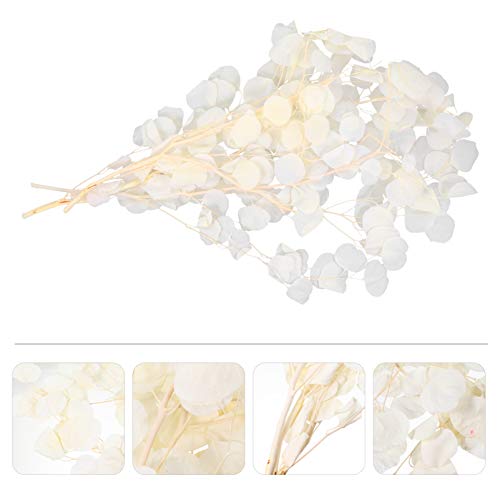 Cacho De Macieira Eucalipto Vasos Para Buquê De Eucalipto Seco Decoração De Natal Enfeites De Natal