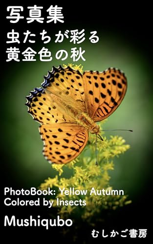 写真集 虫たちが彩る黄金色の秋