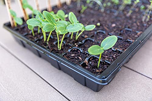 Gardzen 5-Set Garden Propagator Sets, Smiling Face Seed Tray Kits With 350-Cell, Comes With Dome And Base 18" X 14" (70-Cell Per Tray) #TOP7