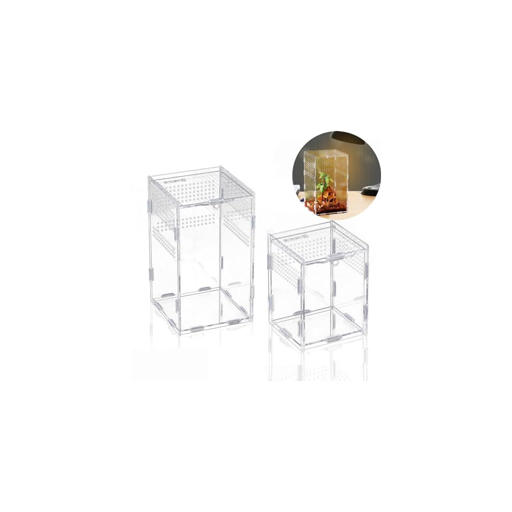 BigKing 2 Pièces Boîte d&rsquo;alimentation pour Reptiles, Terrarium en Acrylique pour Reptiles, Boîte D&rsquo;élevage de Reptiles Transparente pour Élever des Reptiles et des Insectes