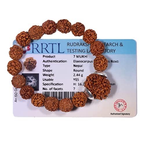 Image of 7 Mukhi Rudraksha Bracelet for Men and Women | Lakshmi Bracelet | Original Lab Certified Nepal Rudraksha Educating People About Rudraksha for Over 20 Years