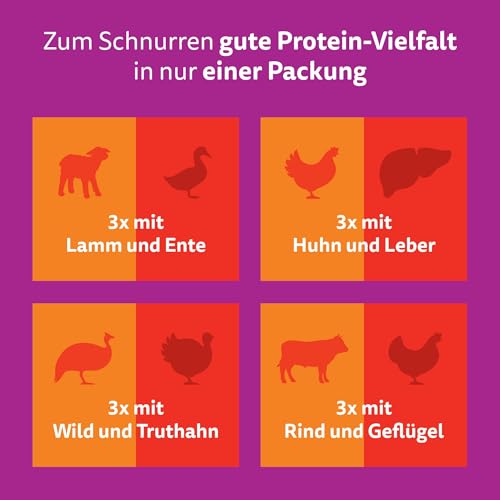 WHISKAS Duo Nassfutter Portionsbeutel Multipack, Classic Combo in Gelee, 12 x 85g