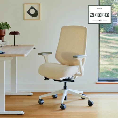 branch ergonomic chair pro