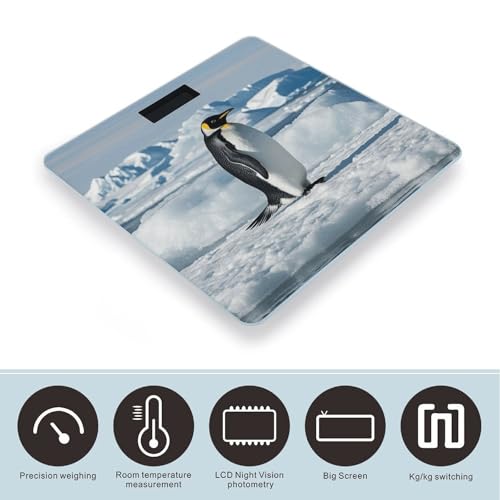 Báscula digital Penguin Antarctica Ice para baño miniatura 3