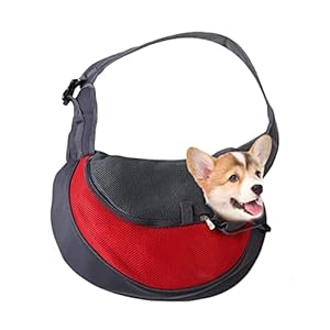 Hondendraagtas | Hondentas van ademend gaas – Draagbare hondendraagtas voor buitenreizen Subway, kleine en grote formaten optie Pansy