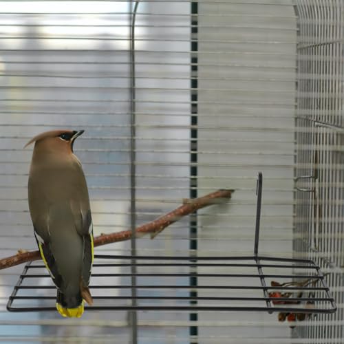 Image of POPETPOP Grid Iron Wall Shelf Bird Cage Platform Perch with Hooks for Parrots and Small Birds Hanging Wire Shelf for Cage Wall Decoration 3 Pack 9.84 X 5.90 X 8.26 in