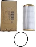 Filter element with Gasket AUDI VW Audi A3 Cabriolet 06L115562