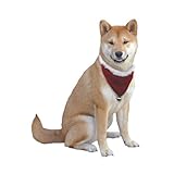 Outward Hound Kyjen Dog Santa Bandanna Holiday Dog Accessory, Large, Red