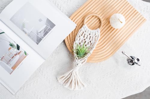 Melphoe Pacote com 4 suportes para plantas aéreas, macramê, samambaia, macramê, cesta suspensa para