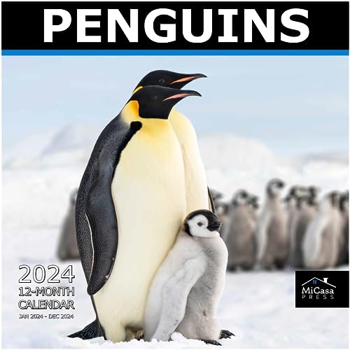 Snapklik.com : MICASA Penguins 2024 Hangable Monthly Wall Calendar12 X 24  OpenThick & Sturdy PaperGiftableKids Teen Animals FunnyPerfect For Penguin  Lovers Of All Ages