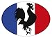 Artimagen Pegatina Bandera Oval Gallo Francia 80x60 mm.