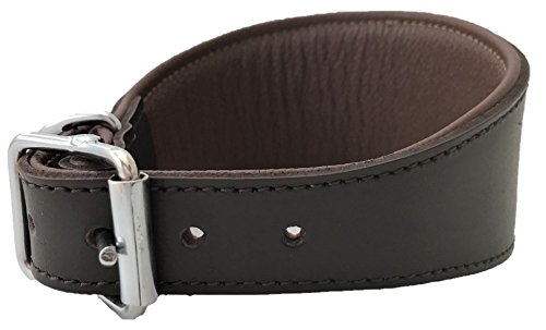 Collier en cuir rembourré marron pour chien/lévrier/lurcher fabriqué à la main