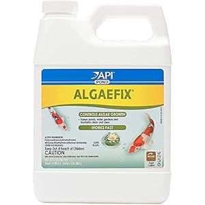 API POND ALGAEFIX Algae Control 32 Ounce Bottle FISHAQUARI 169G