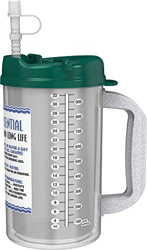 32 oz Insulated W.E. Cold Drink Mug with Electron Jade Lid