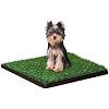 Four Paws Wee-Wee Premium Patch Indoor and Outdoor Pet Potty for Dogs l Dog Potty Training l Artificial Grass l Wee-Wee Patch