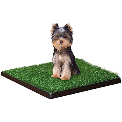 Four Paws Wee-Wee Premium Patch Indoor and Outdoor Pet Potty for Dogs l Dog Potty Training l Artificial Grass l Wee-Wee Patch