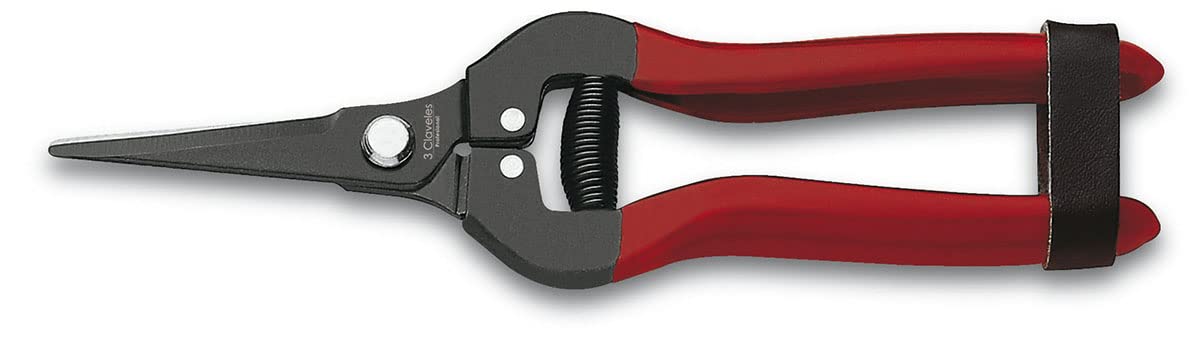 3 Claveles - Tijera Limpia Uvas Recta de 19 cm, negra con Mango Rojo, cierre de seguridad, para recolección y vendimia