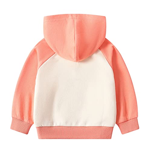 Little Girls French Terry Full-Zip Hoodie Sweatshirt Kids Casual Outfit Jacket (Orange,5Years) #TOP1
