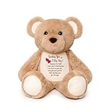 WoollyPearl Soft Teddy Bear Plush Toy, A Big Hug Get Well Soon Comfort Bear with Sympathy Message, Emotional Support Gift for Women, Kids, Girls, Toddlers, Thinking of You Memorial Loved Present 15'
