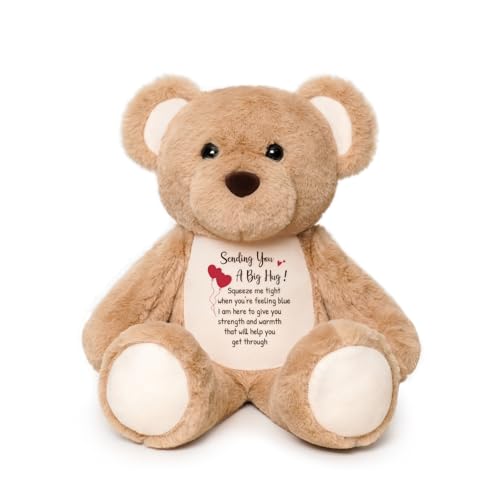 WoollyPearl Soft Teddy Bear Plush Toy, A Big Hug Get Well Soon Comfort Bear with Sympathy Message, Emotional Support Gift for Women, Kids, Girls, Toddlers, Thinking of You Memorial Loved Present 15"