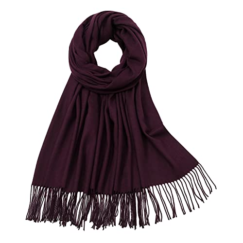 Image of RIIQIICHY Women's Fringe Shawl Wrap Pashmina Scarf for Wedding Evening