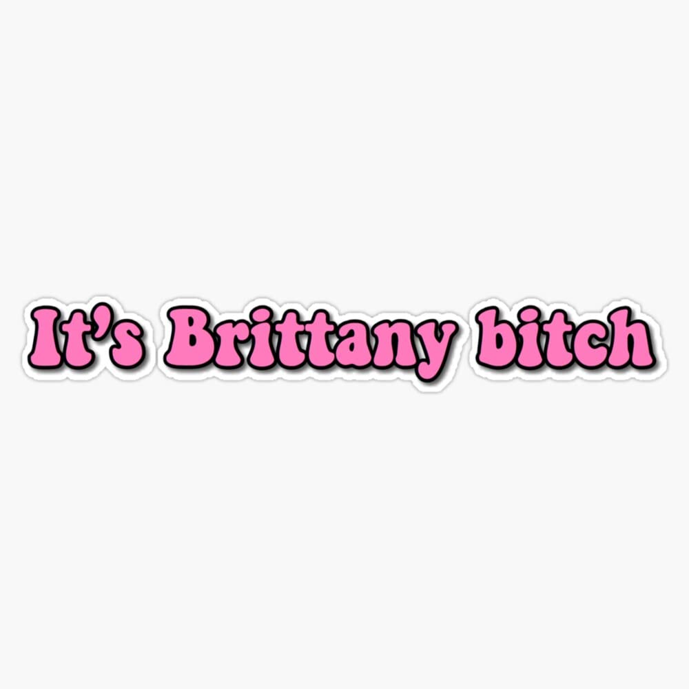 VHVIt'S Brittany Bitch Sticker Vinyl Waterproof Sticker Decal Car Laptop Wall Window Bumper Sticker 5 inches , VHV-CRYPTO-STICKERS-8929