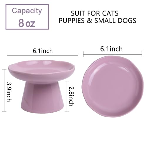 Image of Wide Shallow 6.1 inch Raised Cat Bowls, Ceramic Elevated Food Plate for Flat Faced Cats and Small Dogs, Porcelain Feeder Bowl, Stress Free, Protect Cat's Spine, Lavender
