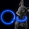 ELANOX LED hondenhalsband oplaadbaar USB universele grootte lichtgevende halsband (blauw)