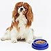GRPET Ants Away Dog Bowl Cat Puppy Food Bowls Round No Spill Eating Feeder for Small Animals Brown S