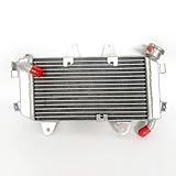 WRCRAD Aluminum Radiator For KTM 390 Duke RC ABS LC4 2013-2020