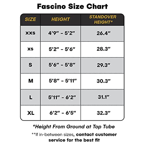 image for Tommaso Fascino - Sport Performance Aluminum Road Bike, Shimano Tourne