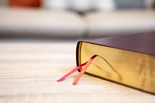 NIV, Biblical Theology Study Bible, Bonded Leather, Burgundy, Comfort Print: Follow God's Redemptiv