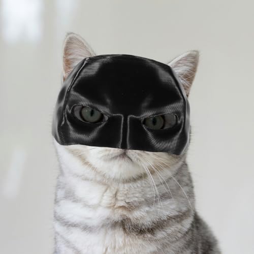 Máscara divertida de morcego e gato vingador, chapéu cosplay para gatos, fantasias de Halloween para