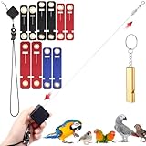 Dansydaisy 2 Pcs 6.5 ft Bird Leash Bird Harness with 1 Training Whistle and 10 Pcs 5 Different Size Soft Foot Ring for Birds Outdoor Flight Training for Budgies Cockatiels Psittacula Longicauda Macaws