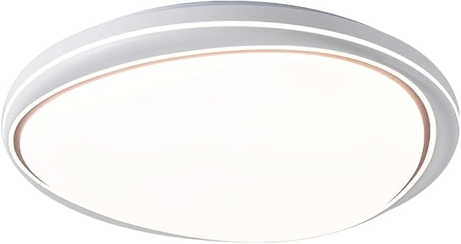 Modern Minimalist Ceiling Light Full Spectrum Eye-Caring Ceiling Light Three Color Adjustable Ceiling Light for Bedroom Living Room Dining Room